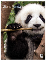 Giant Panda: WWF Wildlife and Climate Change Series Brochure