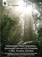 Deforestation, Forest Degradation, Biodiversity Loss and CO2 Emissions in Riau, Sumatra, Indonesia Brochure