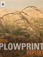 Plowprint Technical Report Brochure