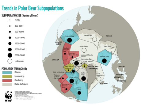 Polar Bear Population Update Map 2019