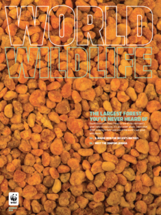 World Wildlife Magazine Summer 2018 cover