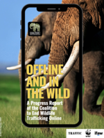 Offline and In the Wild: A Progress Report of the Coalition to End Wildlife Trafficking Online Brochure