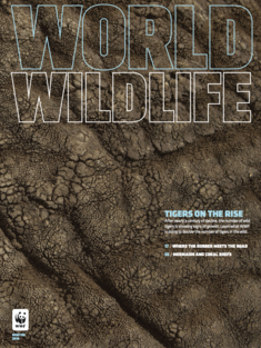 World Wildlife Magazine Winter 2016 cover